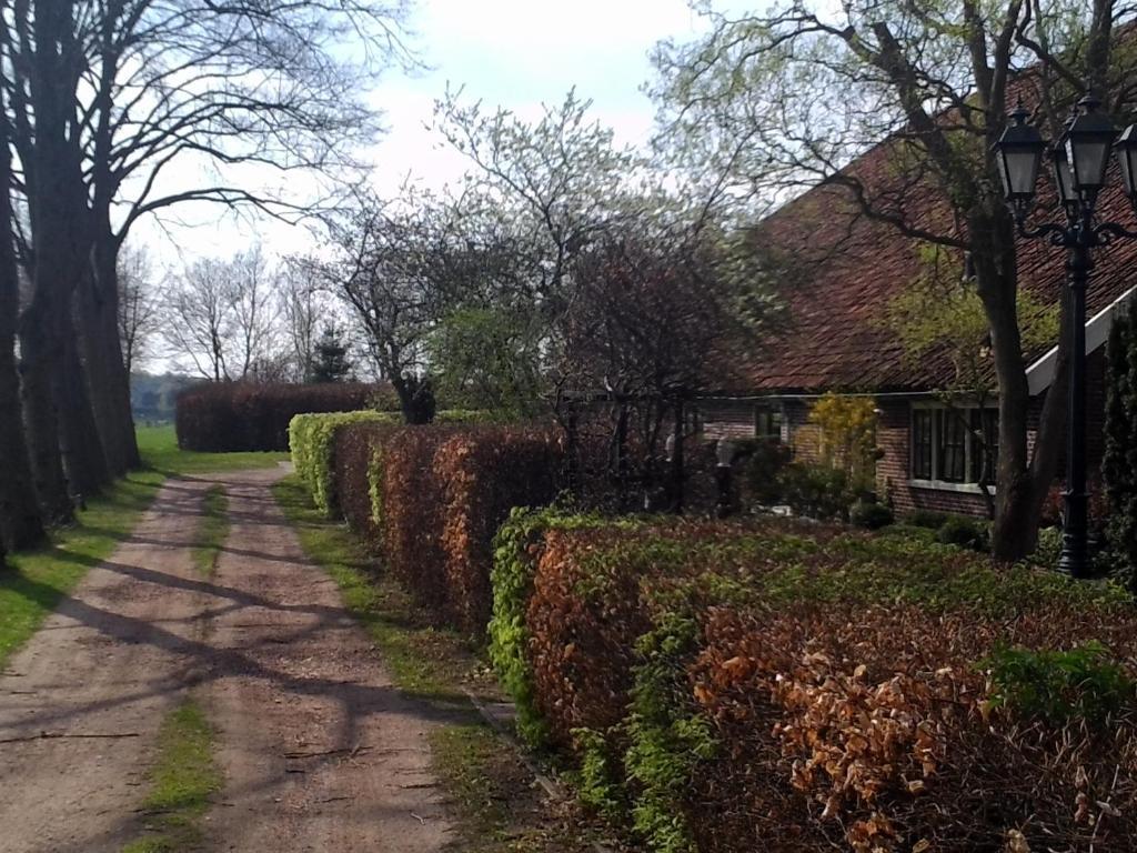 Bed&Breakfast Uiterburen Zuidbroek Exterior foto
